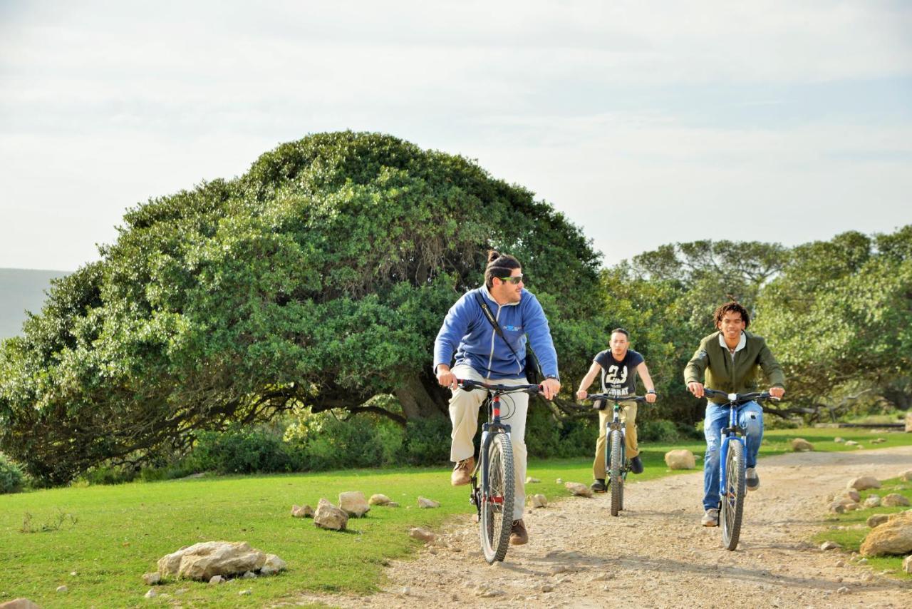 De Hoop Collection - Equipped Cottages De Hoop Nature Reserve エクステリア 写真
