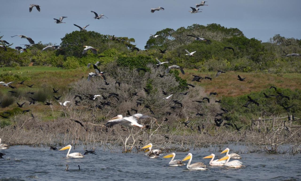 De Hoop Collection - Equipped Cottages De Hoop Nature Reserve エクステリア 写真